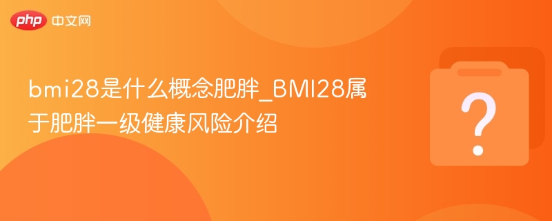 BMI28属肥胖一级风险，健康要重视