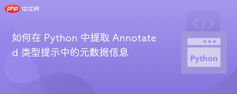 Python提取Annotated元数据技巧