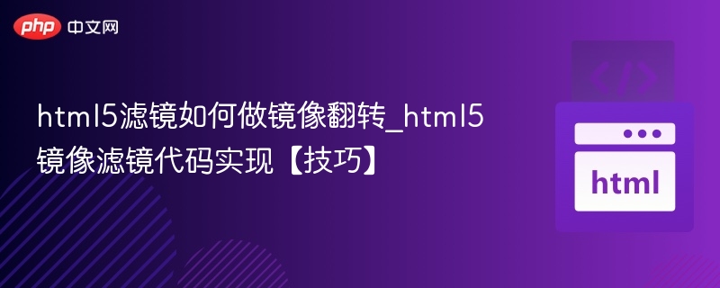 html5滤镜如何做镜像翻转_html5镜像滤镜代码实现【技巧】