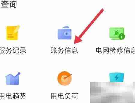 网上国网查账务指南