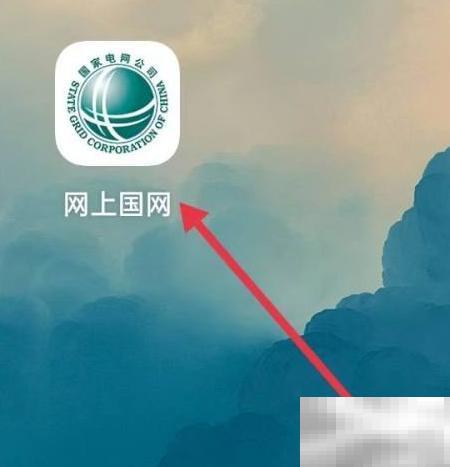 网上国网查账步骤详解