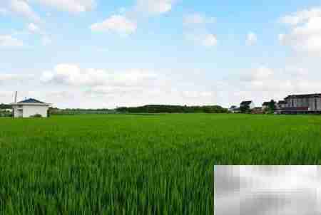 土地承包合同有效签订指南