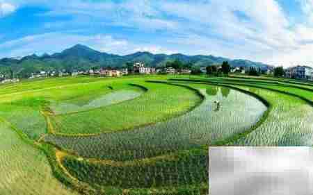 土地承包合同有效签订指南