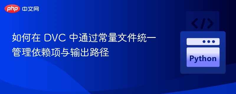 DVC常量文件管理与输出路径设置方法
