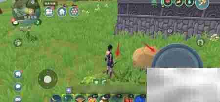 创造与魔法加速符绘制指南