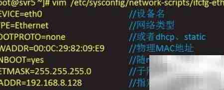 Linux网络地址配置指南