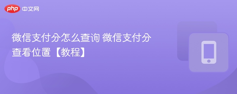 微信支付分怎么查支付分查看方法