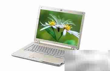 计算机未来发展趋势解析