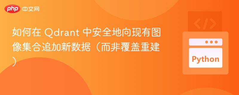 如何在 Qdrant 中安全地向现有图像集合追加新数据（而非覆盖重建）

