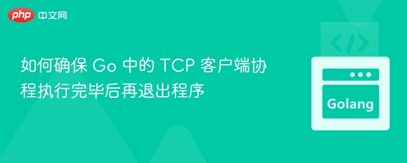 Go中如何等待TCP客户端协程完成
