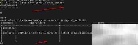 PostgreSQL常用维护命令