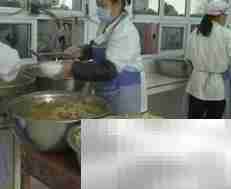 儿童营养餐标准解析