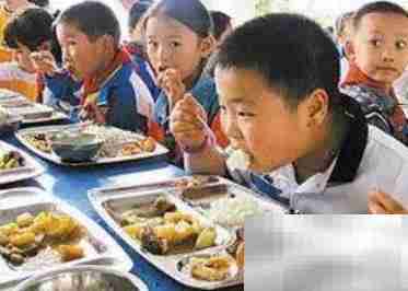 儿童营养餐标准解析