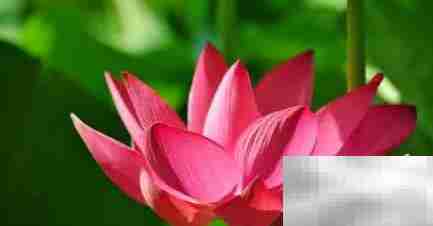 Photoshop Express色调分离使用技巧