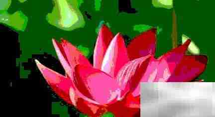 Photoshop Express色调分离使用技巧