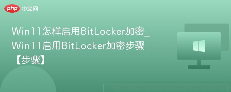 Win11启用BitLocker加密步骤详解