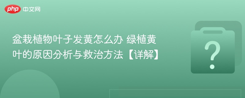盆栽植物叶子发黄怎么办 绿植黄叶的原因分析与救治方法【详解】