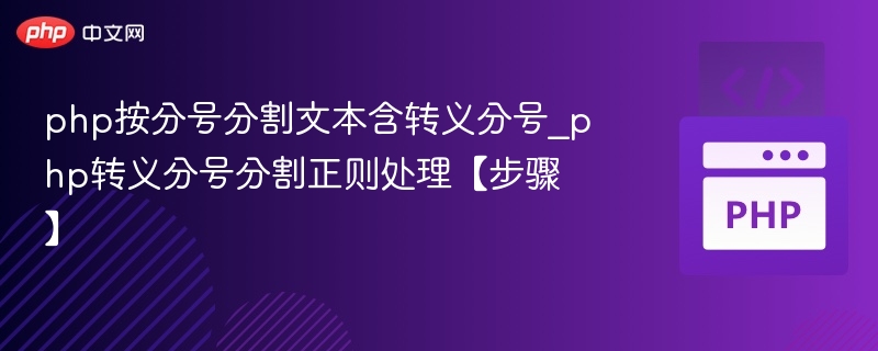 php按分号分割文本含转义分号_php转义分号分割正则处理【步骤】