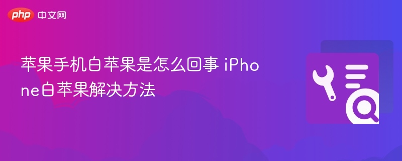 iPhone白苹果问题详解与解决办法