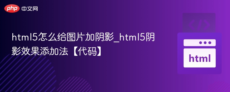 HTML5图片添加阴影的代码教程
