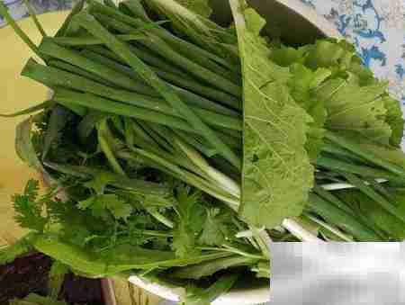 巧用生活小窍门，省时又省力