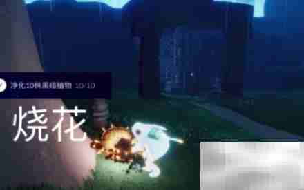 光遇8.17密林遗迹冥想任务