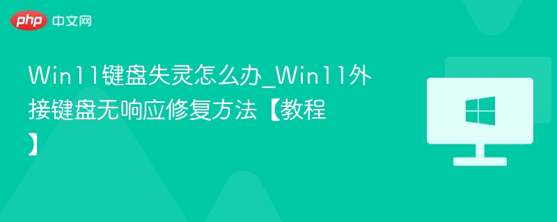 Win11键盘失灵解决方法大全