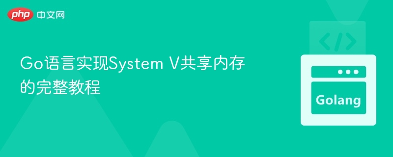 Go语言实现SystemV共享内存方法
