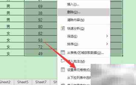Excel文本格式设置技巧