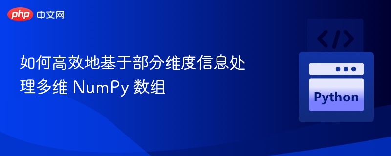 多维数组技巧：高效利用部分维度信息