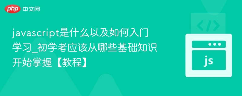 JavaScript是什么？新手怎么学？