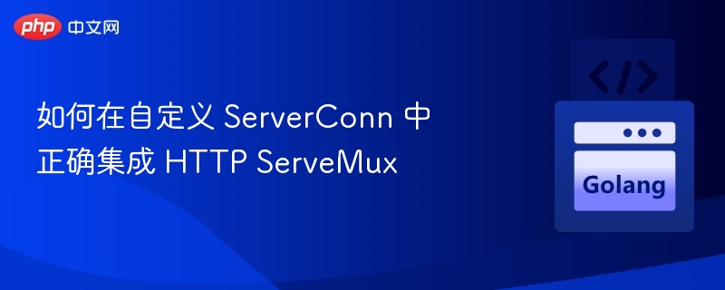 如何在自定义 ServerConn 中正确集成 HTTP ServeMux
