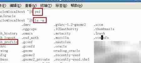 常用命令无法执行问题解析