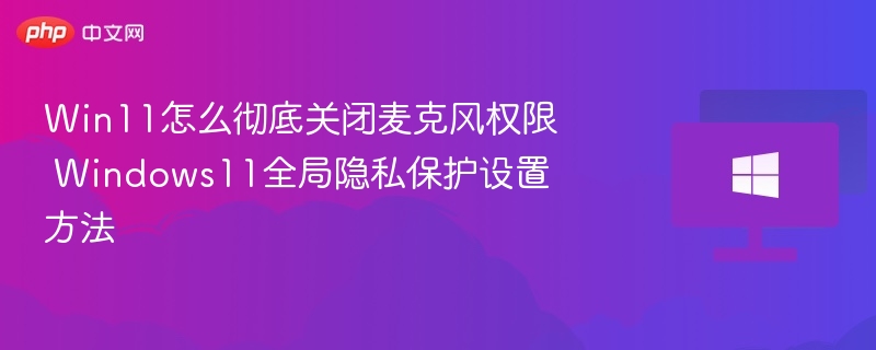 Win11怎么彻底关闭麦克风权限 Windows11全局隐私保护设置方法
