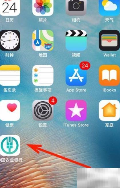 保险合同丢失如何退保？
