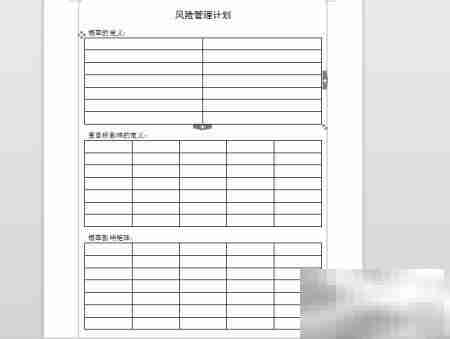 项目风险管理核心策略