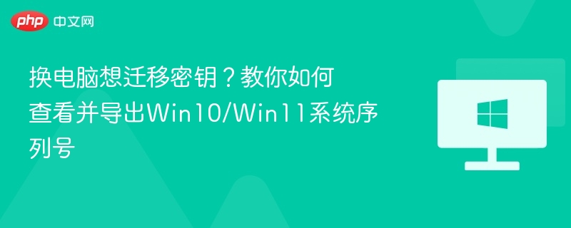 换电脑想迁移密钥？教你如何查看并导出Win10/Win11系统序列号