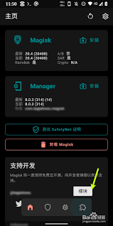 magisk如何安装本地模块