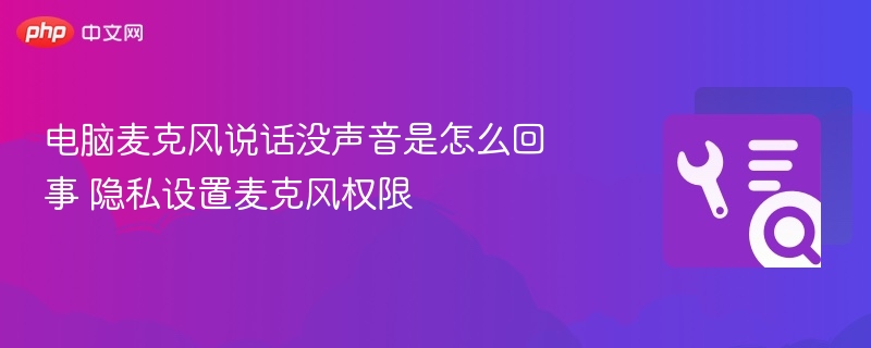 麦克风没声音？隐私权限设置全攻略