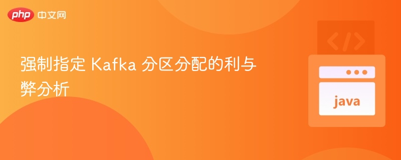 强制指定 Kafka 分区分配的利与弊分析

