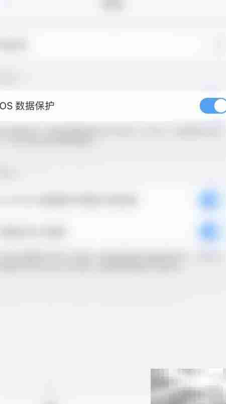PDF Expert关闭iOS数据保护方法