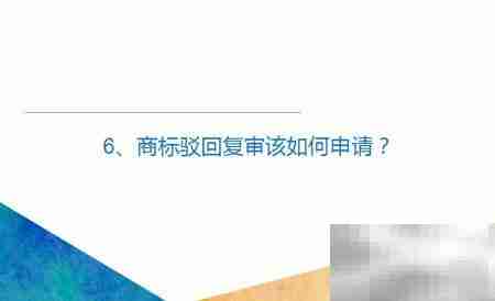 商标驳回复审流程解析