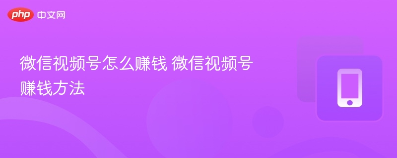 微信视频号变现技巧与赚钱方法