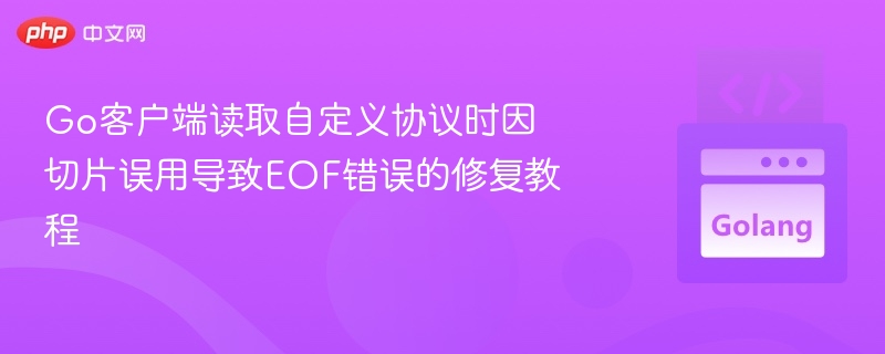 Go客户端读取自定义协议时因切片误用导致EOF错误的修复教程

