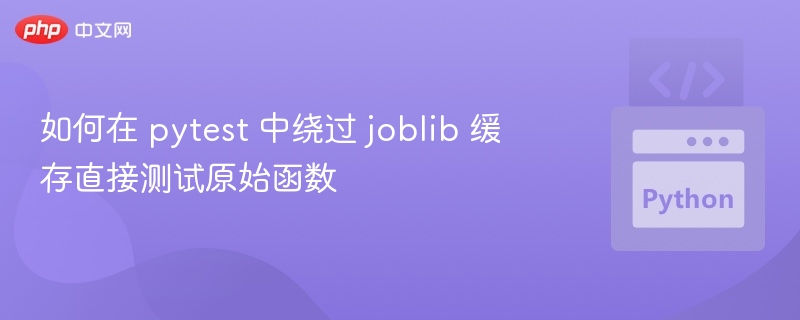 pytest跳过joblib缓存测试方法