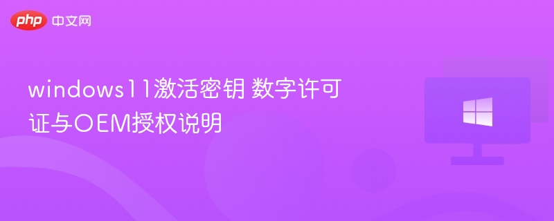 windows11激活密钥 数字许可证与OEM授权说明