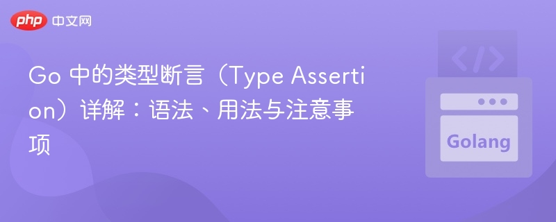 Go 中的类型断言(Type Assertion)详解:语法、用法与注意事项