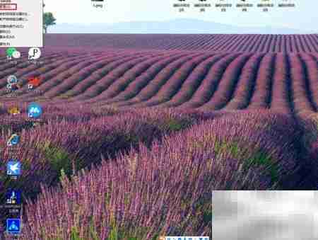 如何启动Windows生物识别服务