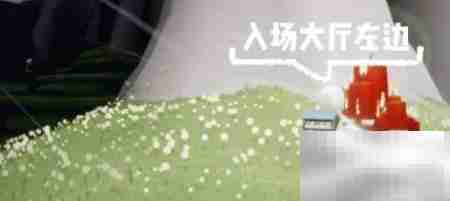 光遇雨林大蜡烛1.13攻略