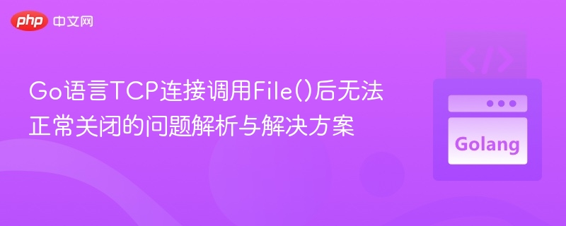 Go语言TCP连接File()无法关闭问题解析